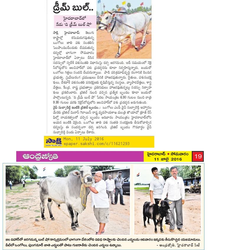Ankush bull show on 11-07-2016 