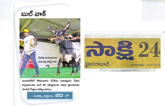 Ankush bull show on 12-07-2016 
