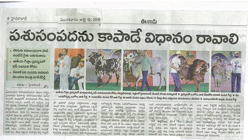 Ankush bull show on 12-07-2016 