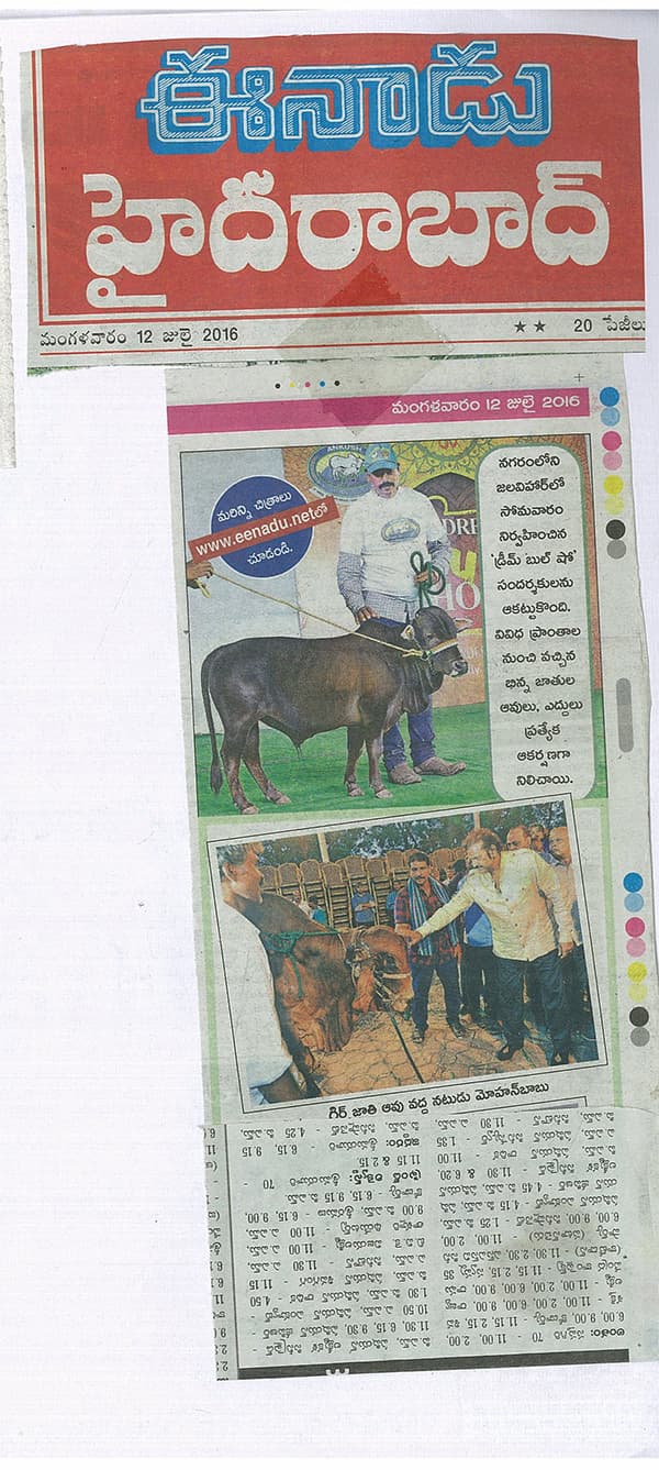 Ankush bull show on 12-07-2016 